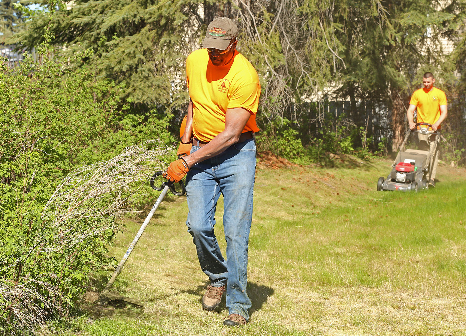 Business Spotlight: Lawn Enforcement